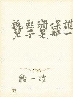 魏熙珊保护萧峥儿子是哪一集