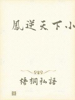 凤逆天下小说