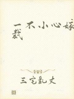 一不小心嫁给总裁