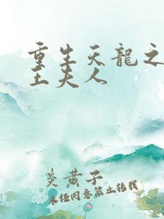 重生天龙之推倒王夫人