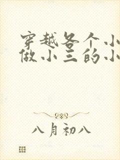 穿越各个小世界做小三的小说