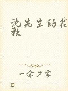 沈先生的花式调教