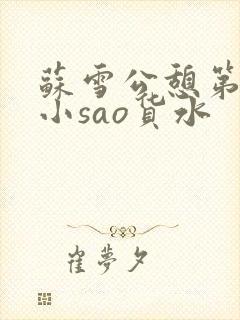 苏雪公憩第一章小sao货水