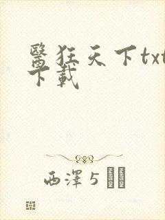 医狂天下txt下载