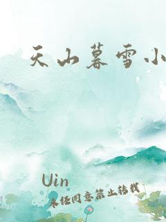 天山暮雪小说