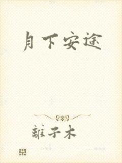 月下安途