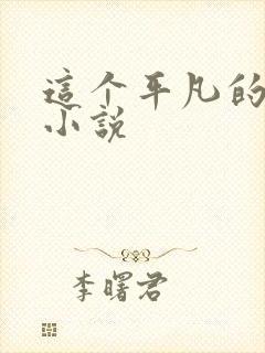 这个平凡的男子小说