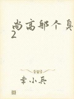 尚高那个臭小子2