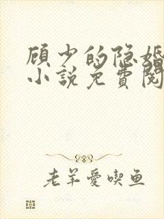 顾少的隐婚罪妻小说免费阅读