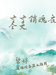 寸寸销魂夜春光全文