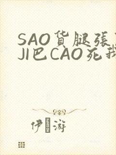 SAO货腿张开JI巴CAO死我