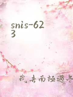 snis-623