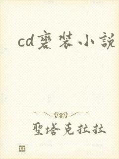 cd变装小说