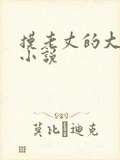 摸老丈的大牛子小说