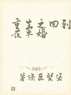 重生之回到新婚夜军婚