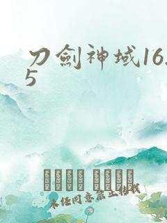 刀剑神域16.5