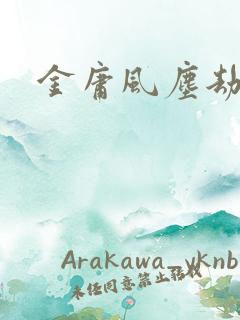 金庸风尘劫