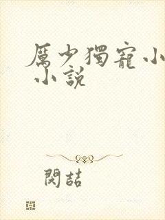 厉少独宠小娇妻 小说