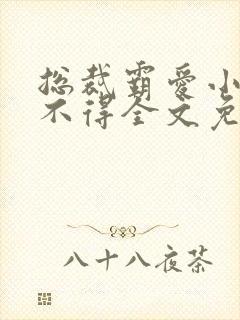 总裁霸爱小妻惹不得全文免费阅读笔趣阁