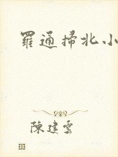 罗通扫北小说