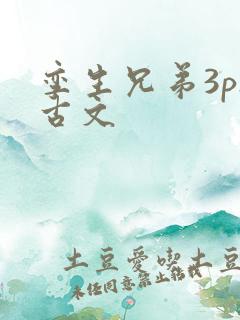 孪生兄弟3ph古文