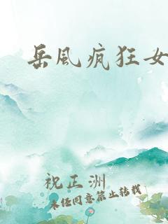 岳风疯狂女婿