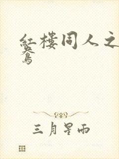 红楼同人之金鸳鸯