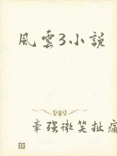 风云3小说