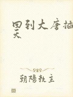 回到大唐插武则天