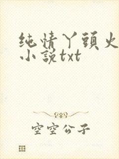 纯情丫头火辣辣小说txt