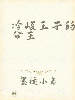 冷峻王子的完美公主