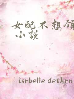 女配不想领便当 小说