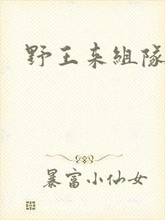 野王来组队小说