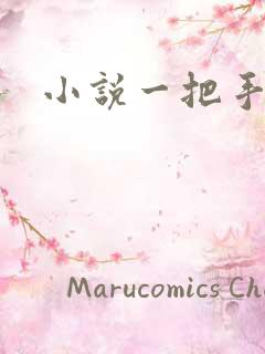 小说一把手