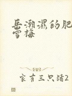 岳潮湿的肥厚李雪梅