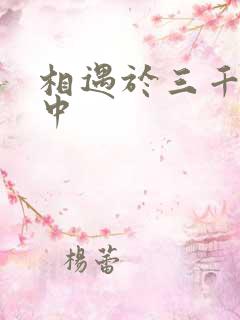 相遇于三千肉文中