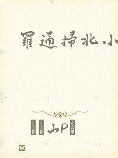 罗通扫北小说