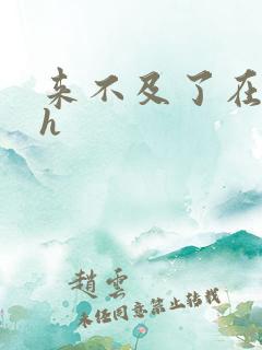 来不及了在车ch