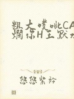 粗大噗呲CAO烂你H王默水王子