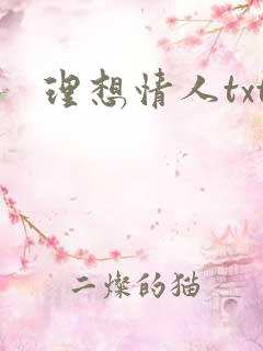 理想情人txt