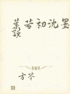 叶若初沈墨寒小说
