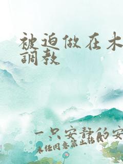 被迫做在木马上调教