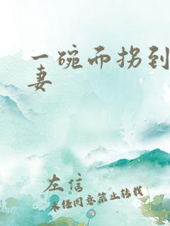 一碗面拐到美艳妻