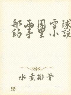 那两团雪球在他的手里小说