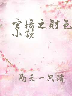 官场之财色诱人小说