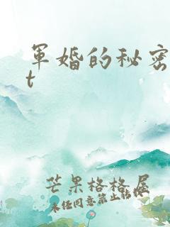 军婚的秘密txt