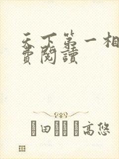 天下第一相书免费阅读