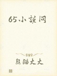 65小说网