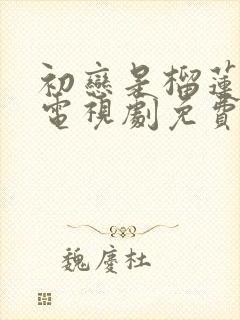 初恋是榴莲先生电视剧免费观看