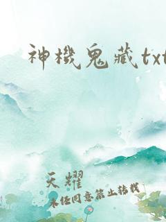 神机鬼藏txt